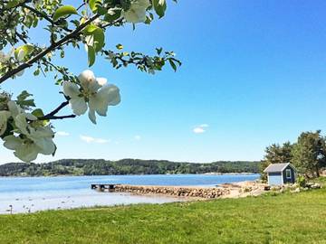 Ferienhaus für 8 Personen in Bohuslän, Südschweden, Bild 3