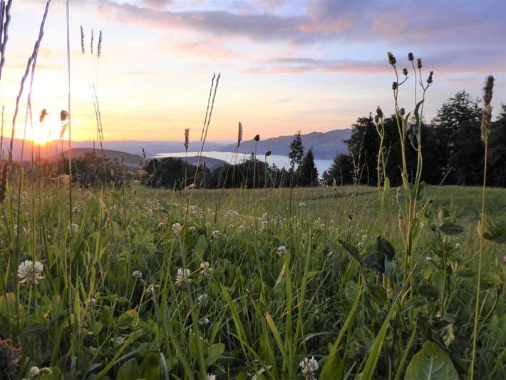 Gîte pour 4 personnes, avec vue sur le lac ainsi que vue et jardin à Aeschi bei Spiez - 2