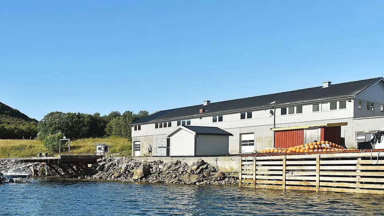 Ferienhaus für 12 Personen (222 m²) in Oksvoll in Bjugn