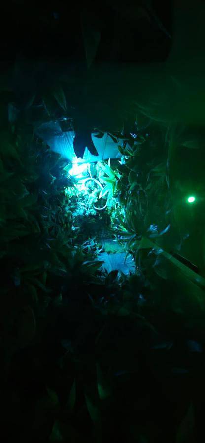 Hôtel pour 2 personnes, avec jardin ainsi que vue et terrasse à Rognac - 4