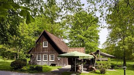 Ferienwohnung für 4 Personen in Schneverdingen, Landkreis Heidekreis, Bild 4