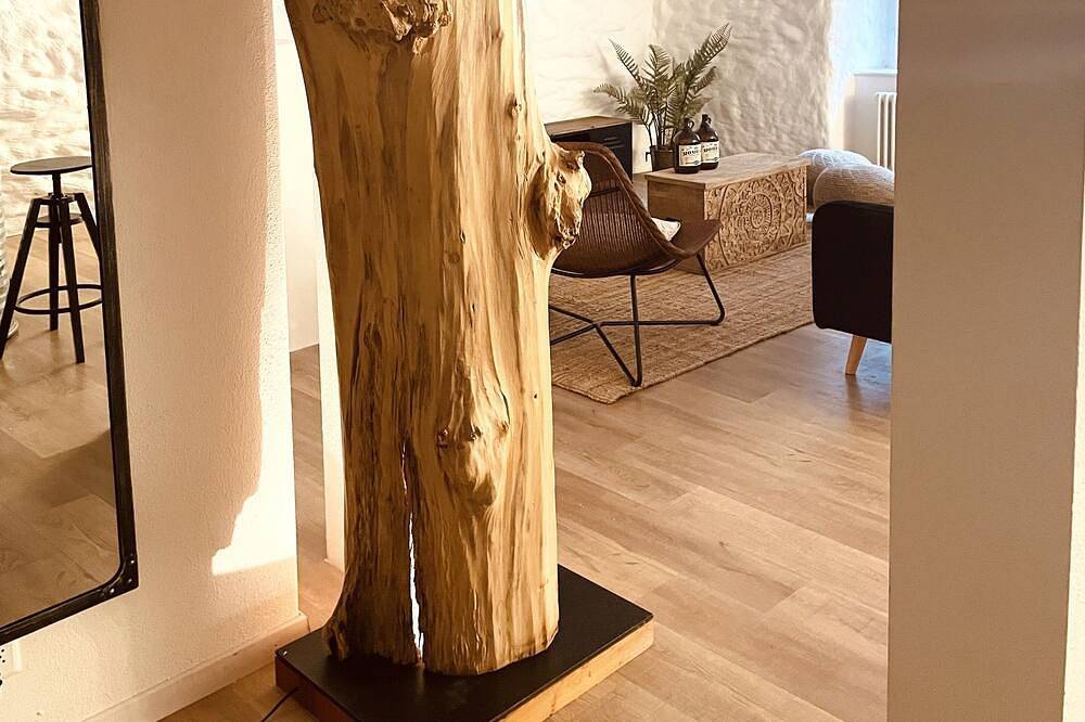 Ganze Wohnung, Exklusive Wohnung im Herzen der Schaffhauser Altstadt in Schaffhausen, Kanton Schaffhausen
