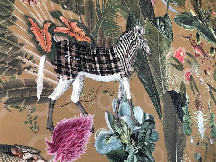 Chambre d’hôte pour 11 personnes, avec terrasse et vue en Charente-Maritime - 4