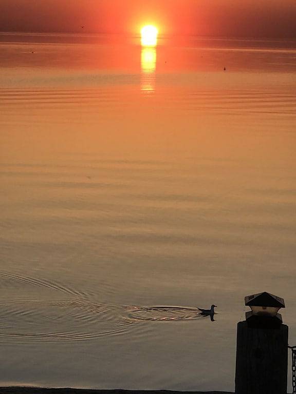 Chalet pour 10 personnes, avec balcon et sauna dans Canada - 3