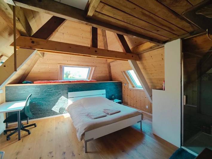 Chalet pour 12 personnes, avec terrasse ainsi que vue et jardin à Bussang - 4