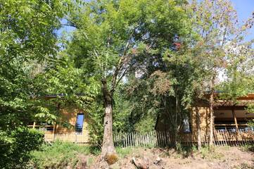 Chalet pour 5 Personnes dans Saint-Constant-Fournoulès, Région d'Aurillac, Photo 1