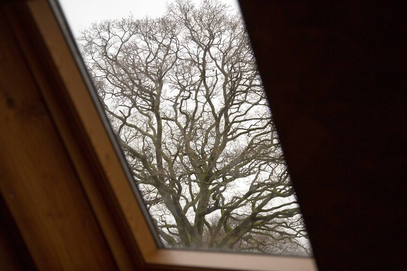 Maison 'Gîte D'étape' avec jardin partagé et Wi-Fi in Saint-Tugdual, Région de Pontivy