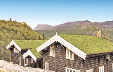 Ferienhaus für 18 Personen, mit Terrasse und Sauna sowie Whirlpool in Hemsedal