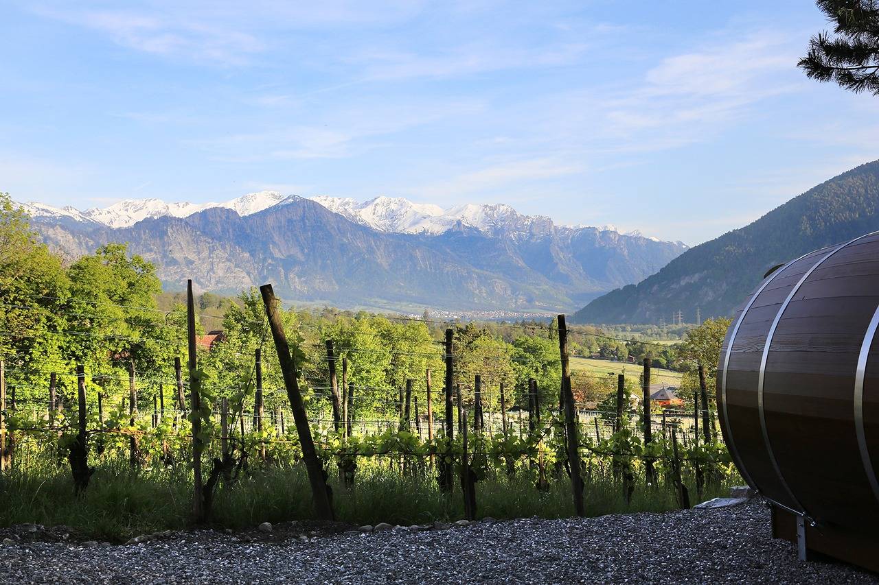 Schlaf-Fass Riesling-Silvaner Maienfeld - Schlaf-Fass: Familienübernachtung mit Hp in Rätikon Gebirgsgruppe, Maienfeld