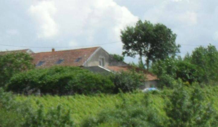 Gîte pour 5 personnes, avec jardin et vue, adapté aux familles à Saint-Aubin-de-Luigné - 4