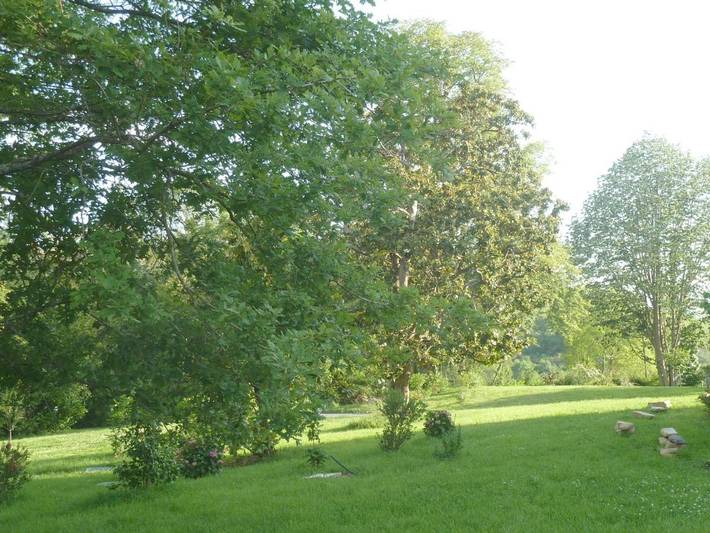 Location de vacances pour 3 personnes, avec jardin et piscine ainsi que terrasse et vue à Ossès - 3