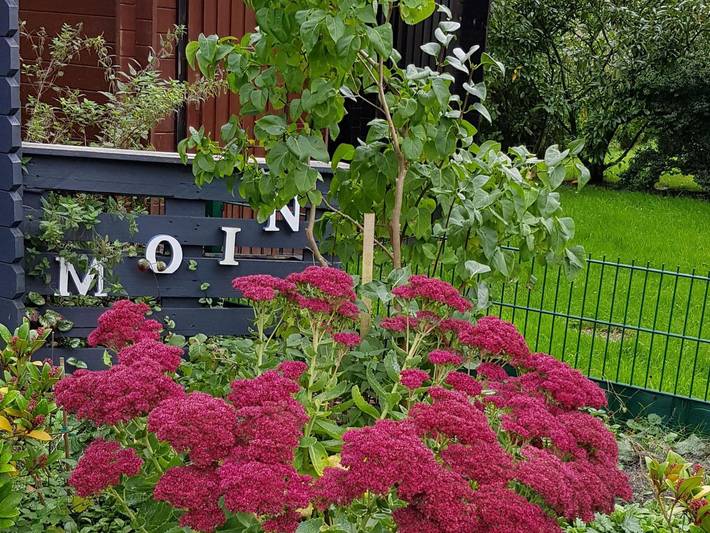 Ferienwohnung für 4 Personen, mit Terrasse und Garten in Greetsiel - 2