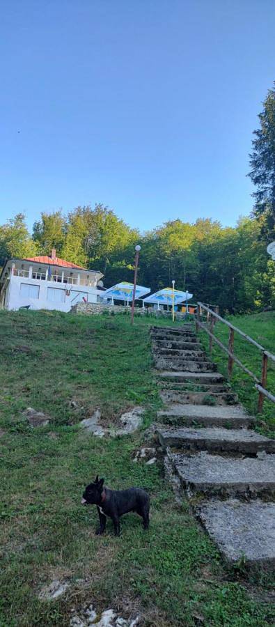 Villa pour 16 personnes, avec piscine ainsi que jacuzzi et jardin en Roumanie