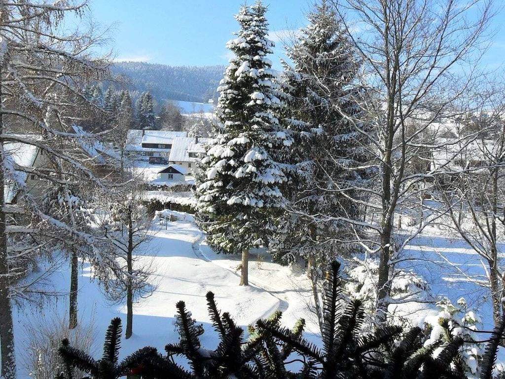 Appartement de vacances avec 2 chambres in Suedlicher Schwarzwald, Hinterzarten