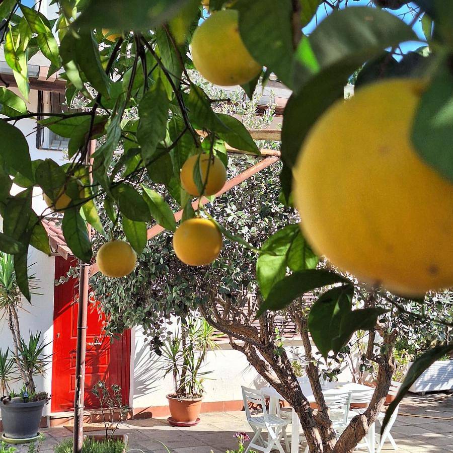 Giallo Limone B&B in Salerno, Costa tirrenica Campania