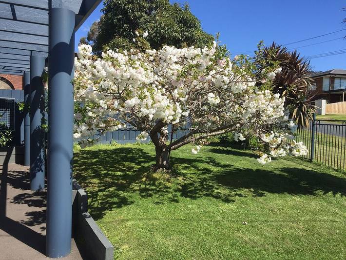 Holiday home for 6 people, with garden in Dromana