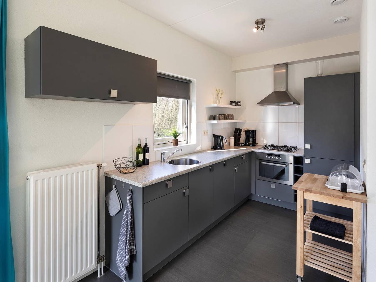 Wellness Villa | Finnische Sauna in Ruinen, Nationalpark Dwingelderveld