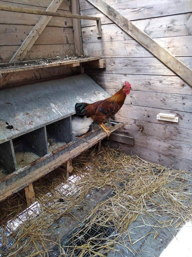 Location de vacances pour 6 personnes, avec jardin et vue, adapté aux familles à Pennabilli - 2