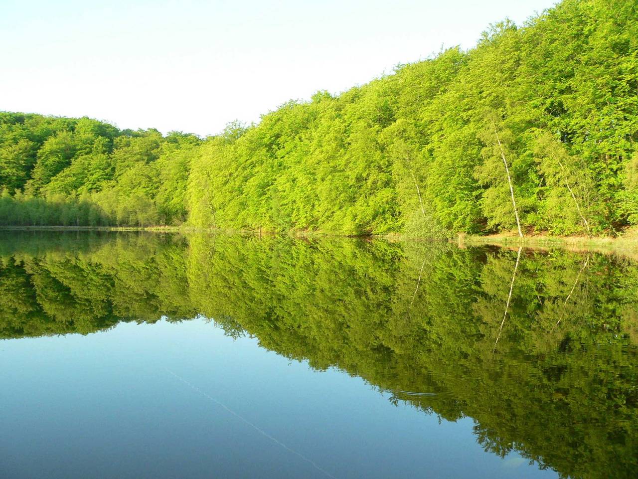 Ganze Ferienwohnung, Appartement / Fewo in Binz in Binz, Rügen