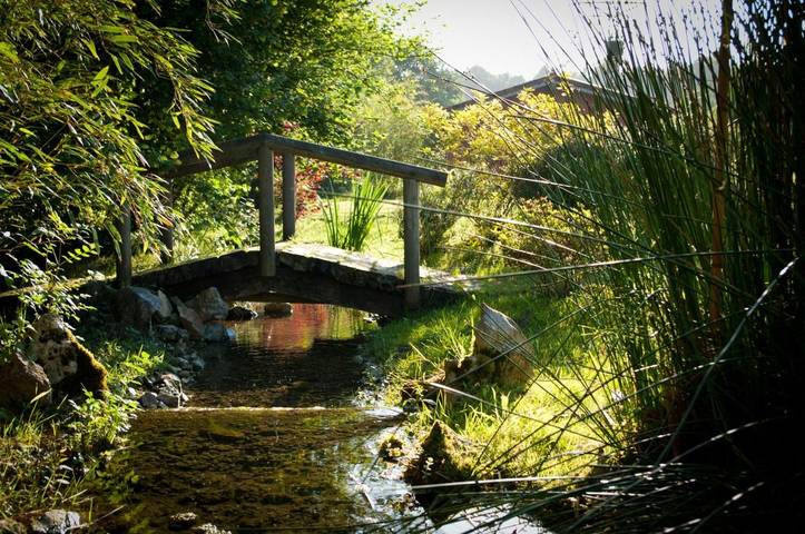 Hotel para 3 personas, con vistas además de piscina y jardín, Se admiten mascotas en Llanes - 2