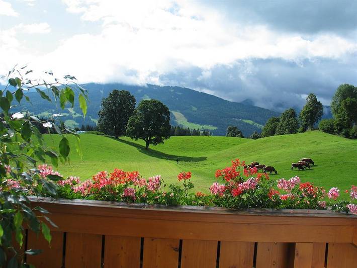 Ganze Ferienwohnung, Apartment/2 Schlafräume/Dusche, Wc in Ramsau am Dachstein, Schladming-Dachstein