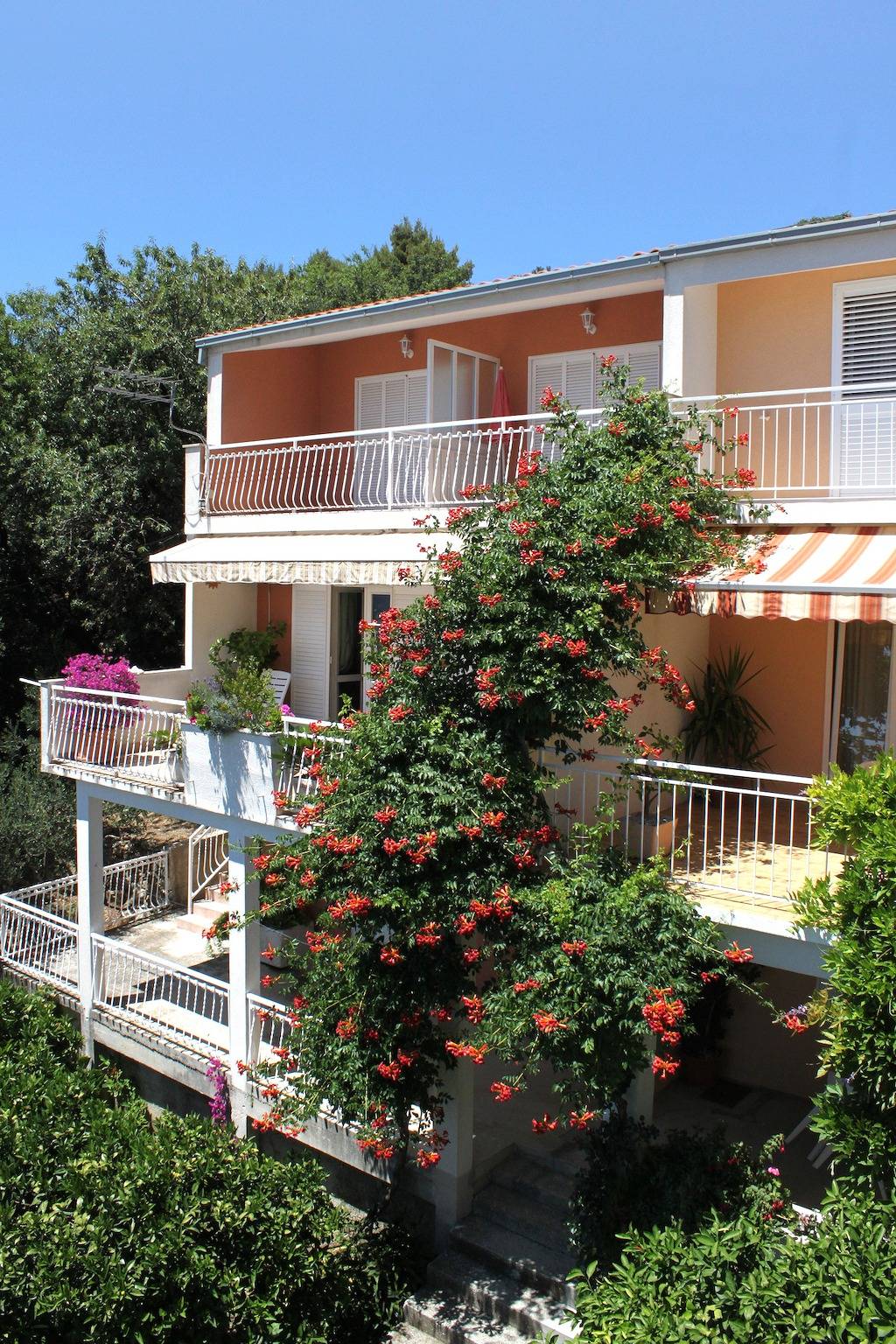 Cały apartament, Jednopokojowy apartament z tarasem i widokiem na morze Podgora, Makarska -a in Podgora, Riwiera Makarska