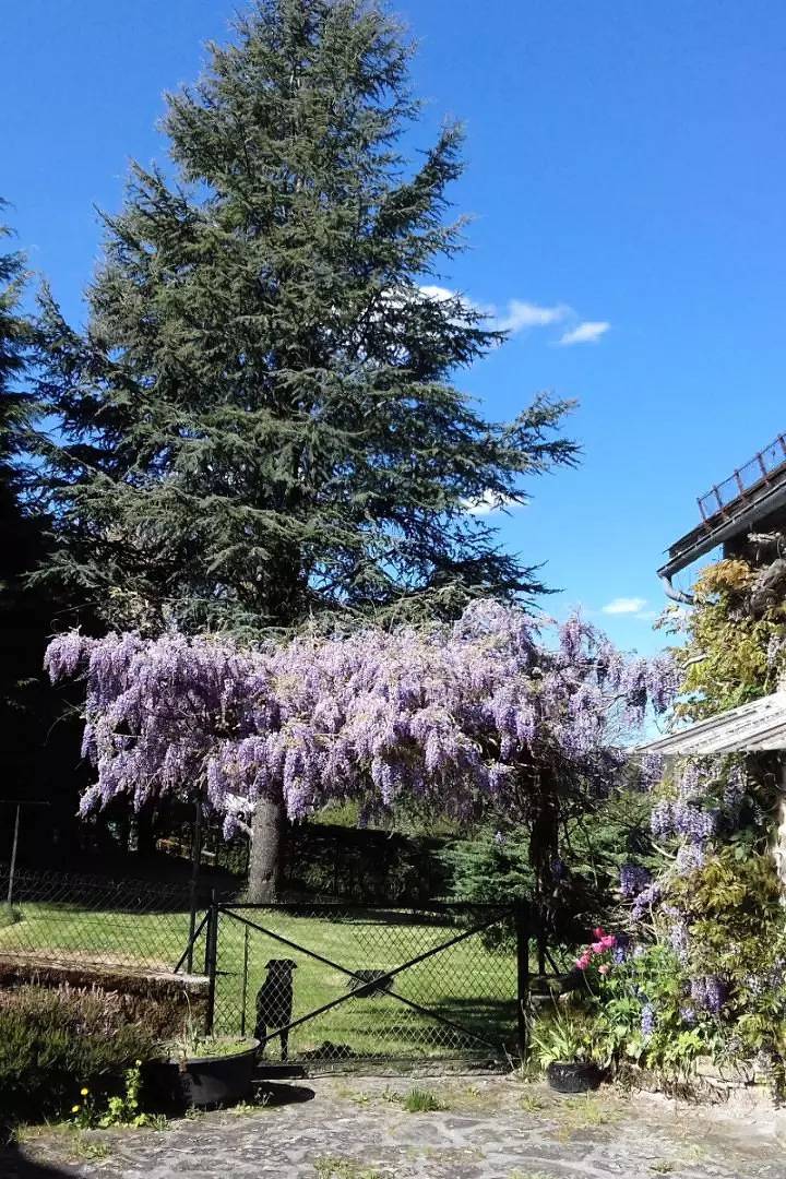 Gîte de France 8 Personen in Sarran, Tulle und Umgebung