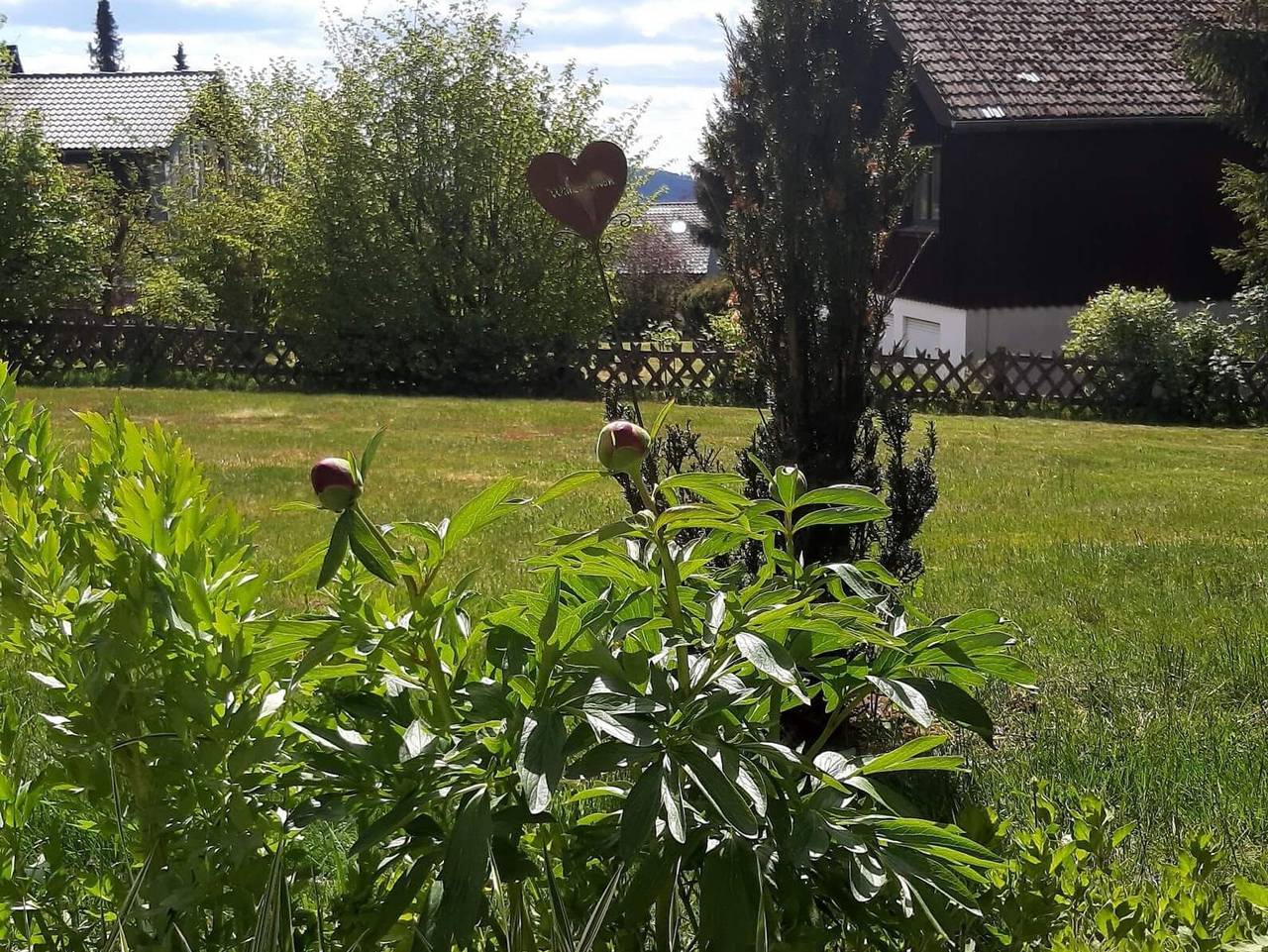 Ganze Ferienwohnung, Fewo Rehkitz - Fewo Rehkitz in Sankt Andreasberg, Braunlage
