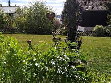 Ferienwohnung für 4 Personen in Sankt Andreasberg, Braunlage, Bild 2