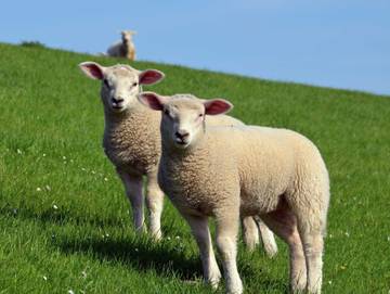 Ferienhaus für 7 Personen in Wangerland, Südliche Nordseeküste, Bild 3
