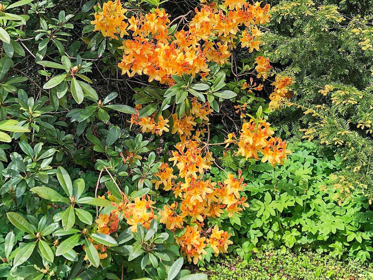 5 person holiday home in Vejby in Vejby, Kattegat Coast