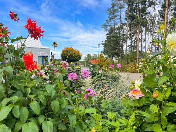 Bungalow für 3 Personen, mit Seeblick und Terrasse, kinderfreundlich in Deutschland - 3