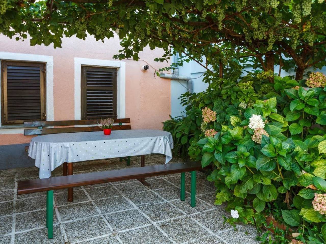 Ganze Wohnung, "Appartement Sankovic" in Svetvinčenat, Zentralistrien