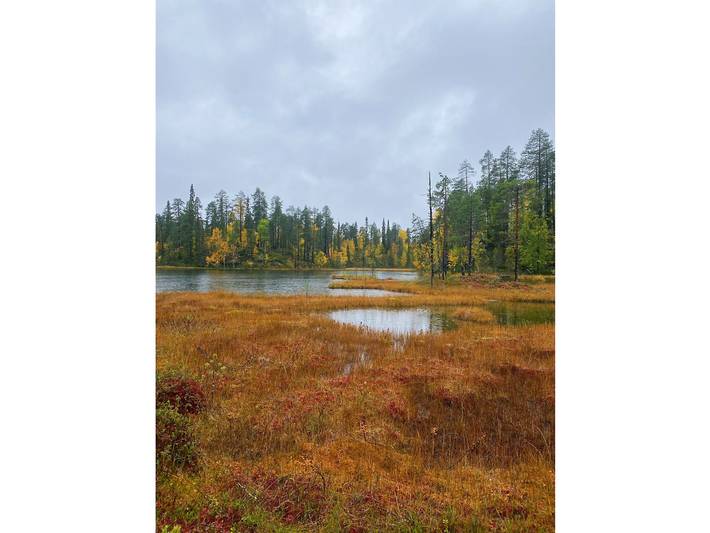 Ganze Wohnung, Sallan lumous a in Sallatunturi, Lappland