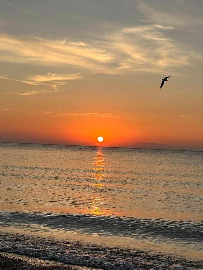 Ferienhaus mit Meerblick für 4 Personen, mit Garten und Ausblick, mit Haustier in der Toskana - 2