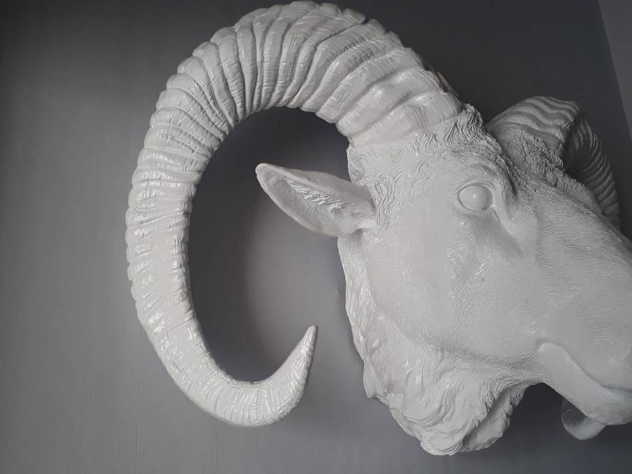 Ganze Ferienwohnung, Weissewolke, Ferienwohnung - Appartement/Fewo, Dusche, Wc in Bad Fallingbostel, Landkreis Heidekreis