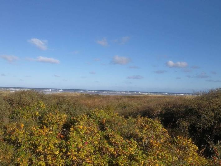 Ferienhaus für 6 Personen, mit Terrasse, mit Haustier in Tversted - 3