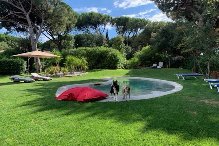 Ferienhaus für 8 Personen in Marina di Bibbona - 3