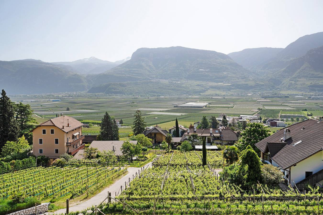 Appartement entier, Appartement 'Bacchushof Sauvignon' avec vue sur les montagnes, Wi-Fi et climatisation in Termeno sulla Strada del Vino, Massif de Non