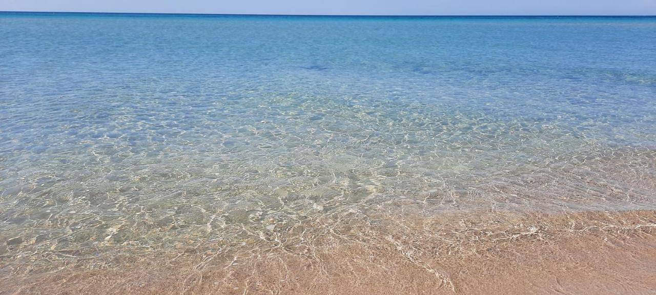 Villa Perla del Salento con piscina in Lido Marini, Golfo di Taranto