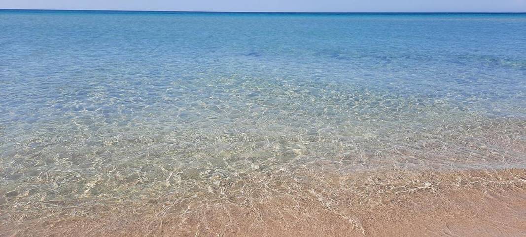 Location de vacances pour 5 personnes, avec jardin ainsi que jacuzzi et piscine à Lido Marini - 4