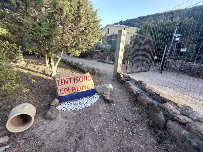 Maison d’hôte pour 2 personnes, avec jardin et vue dans Île de Sant'Antioco - 4