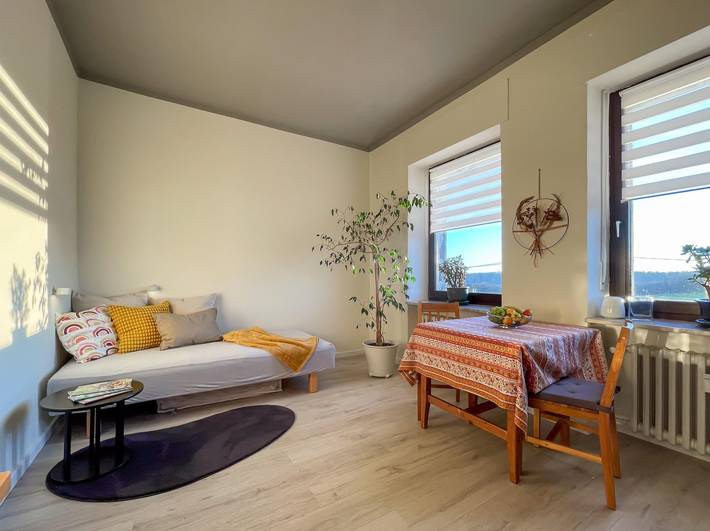 Ganze Ferienwohnung, Appartement/Fewo, Dusche und Bad, Wc, Wohn-/Schlaf in Hausen (Wied), Mittelrhein