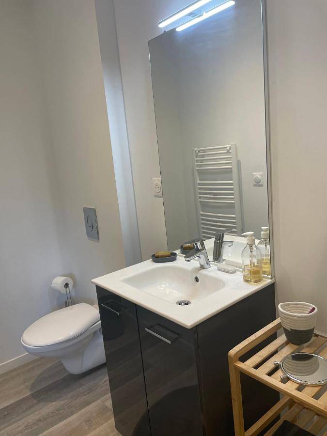 Location de vacances pour 2 personnes, avec vue et jardin, animaux acceptés à Lorris - 3