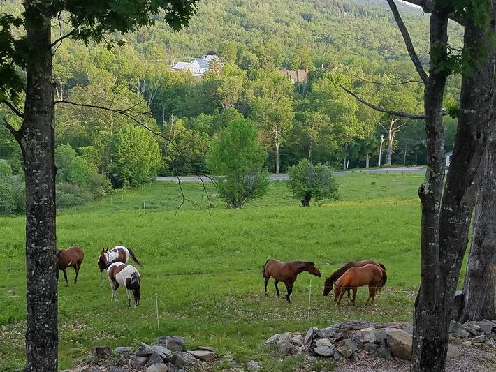 Ferienhaus für 6 Personen, mit Whirlpool und Balkon sowie Garten - 1