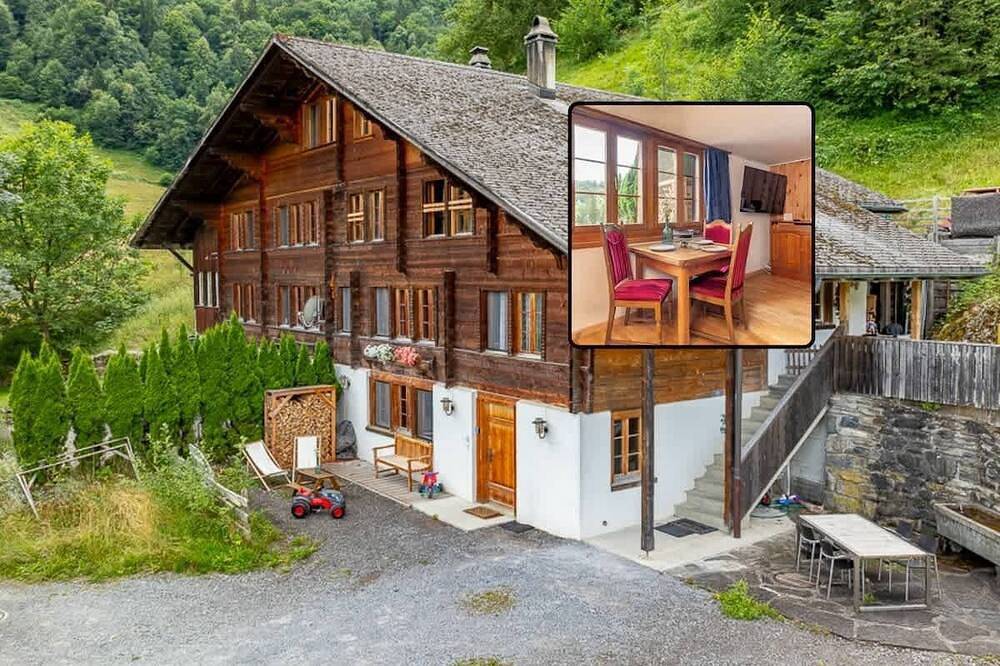 Ganze Wohnung, Gemütliches Studio mit Terrasse | Bbq | Bergsicht in Schattenhalb, Berner Oberland