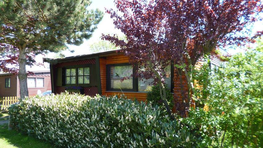 Ferienhaus für 4 Personen, mit Terrasse und Garten in Osnabrücker Land - 2