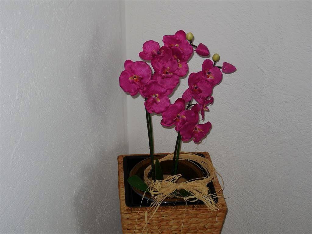 Ganze Ferienwohnung, Ferienwohnung Kapplblick in Sonderdorf, Bolsterlang