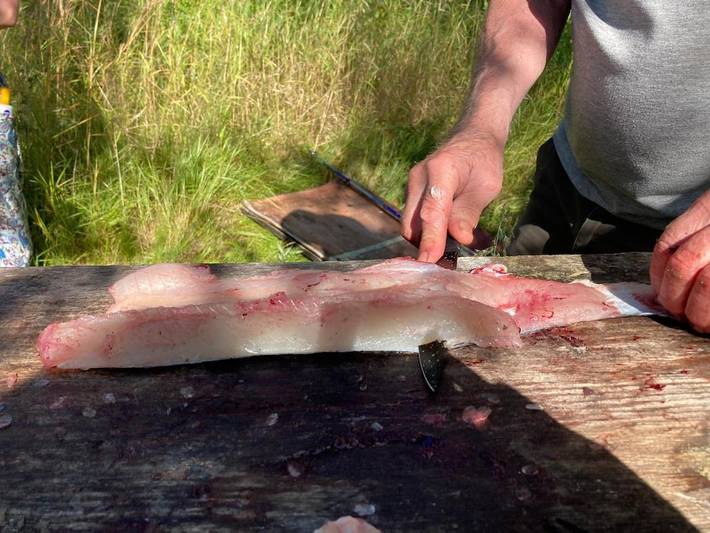 Gîte pour 7 personnes, avec vue sur le lac ainsi que vue et jardin, animaux acceptés à Jokkmokk - 3