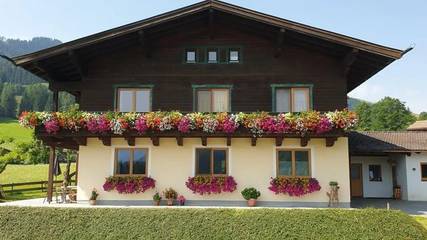Hütte für 6 Personen in Leogang, Bundesland Salzburg, Bild 1